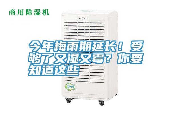 今年梅雨期延長(zhǎng)！受夠了又濕又霉？你要知道這些