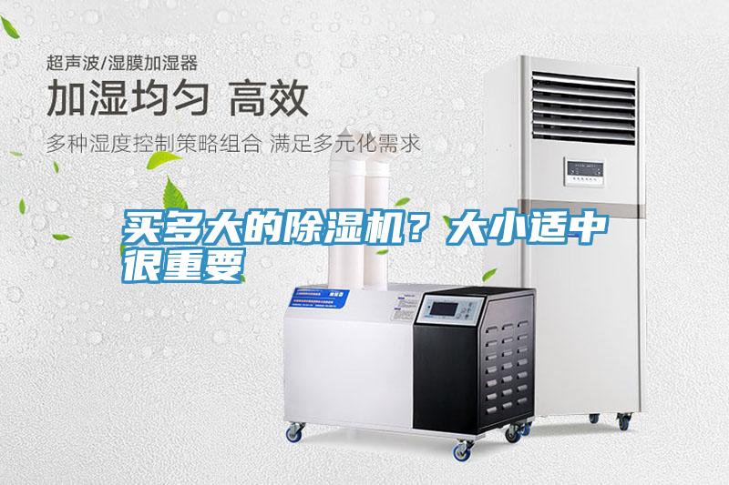 買多大的除濕機？大小適中很重要