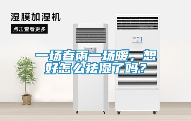 一場春雨一場暖，想好怎么祛濕了嗎？