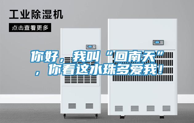 你好，我叫“回南天”，你看這水珠多愛我！