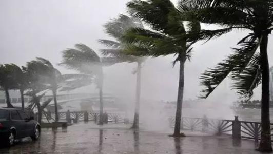 8月臺風雨即將來，除濕機還得用起來