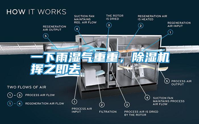 一下雨濕氣重重，除濕機揮之即去