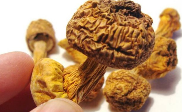 巴西菇、姬松茸烘干機(jī)-怎樣烘干色澤好且菇體褶片完整？