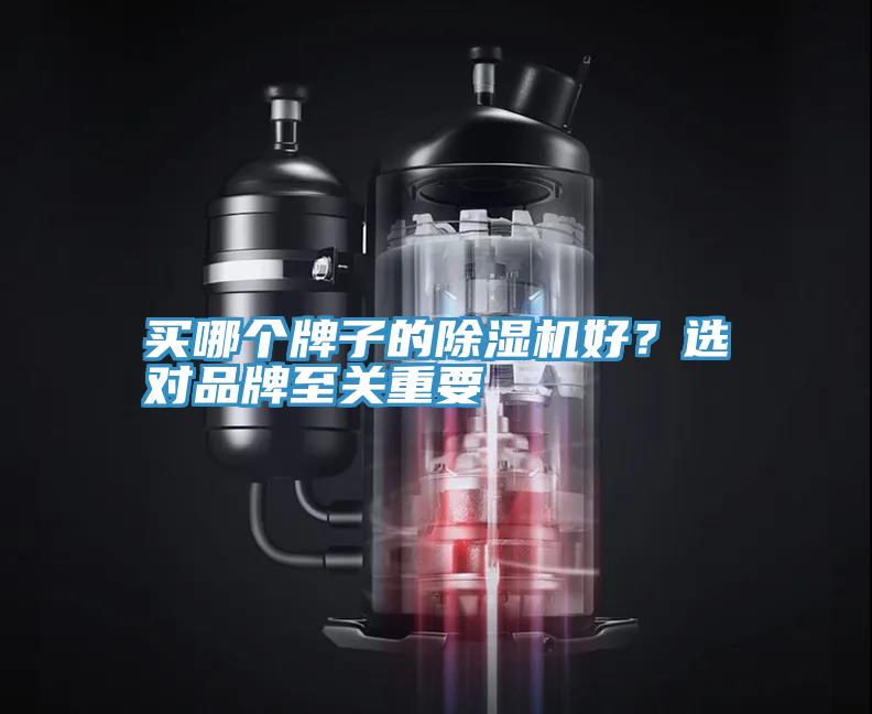 買哪個牌子的除濕機好？選對品牌至關重要
