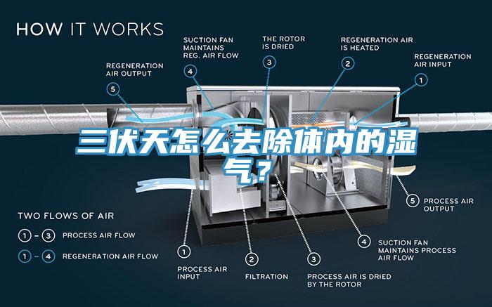 三伏天怎么去除體內(nèi)的濕氣？