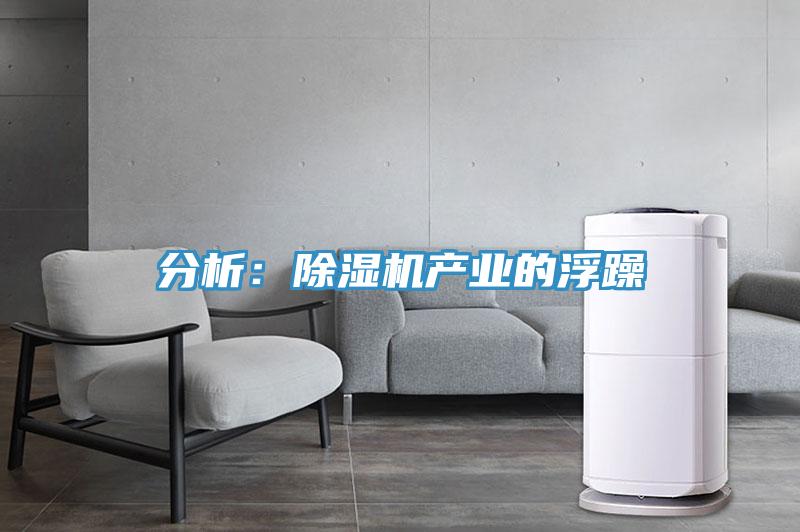 分析:除濕機(jī)產(chǎn)業(yè)的浮躁