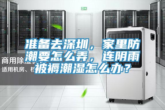 準備去深圳，家里防潮要怎么弄，連陰雨被褥潮濕怎么辦？