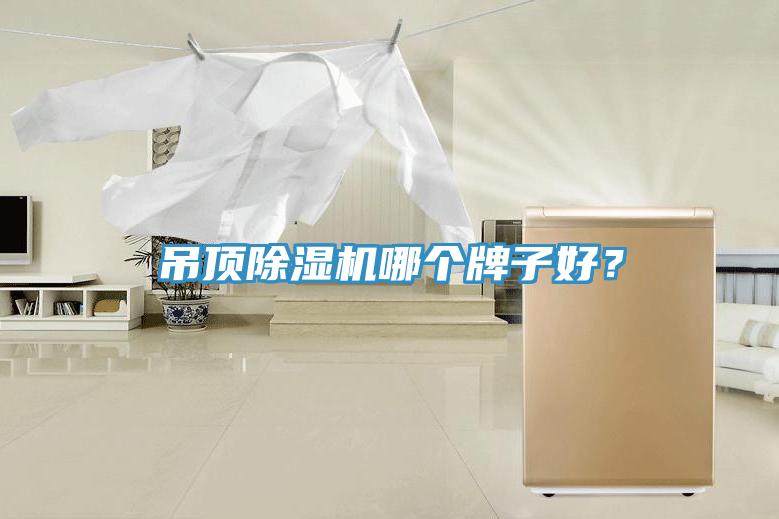 吊頂除濕機哪個牌子好?