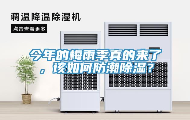 今年的梅雨季真的來了，該如何防潮除濕？