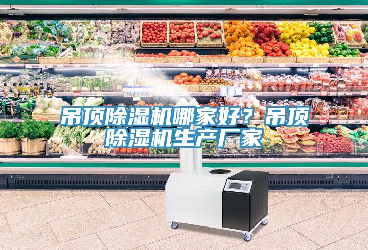 吊頂除濕機哪家好?吊頂除濕機生產廠家