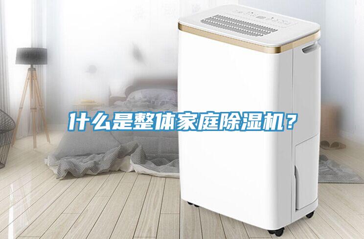 什么是整體家庭除濕機?