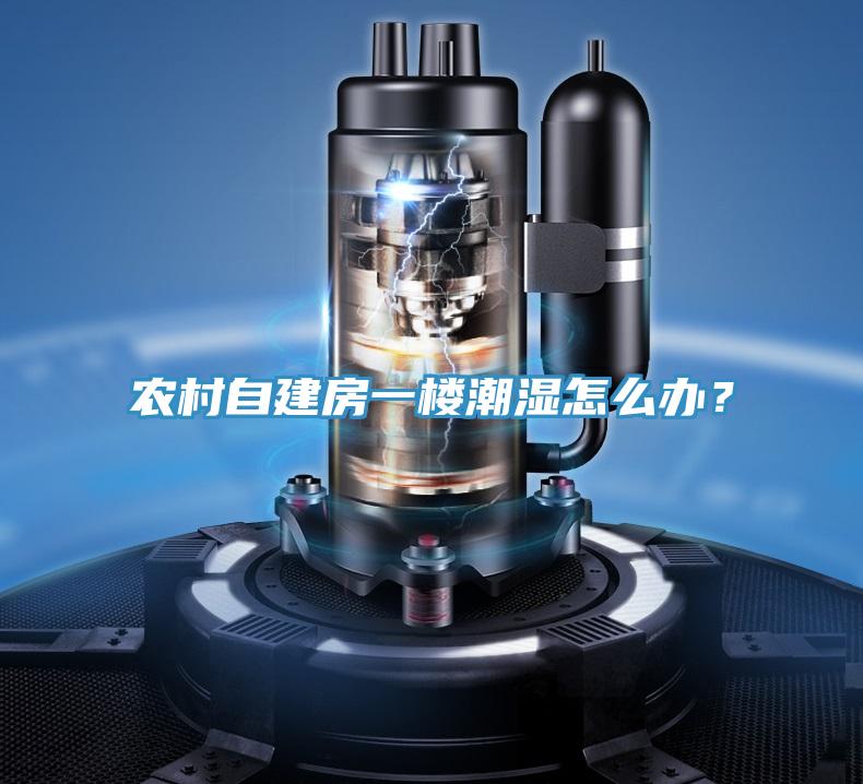 農(nóng)村自建房一樓潮濕怎么辦?