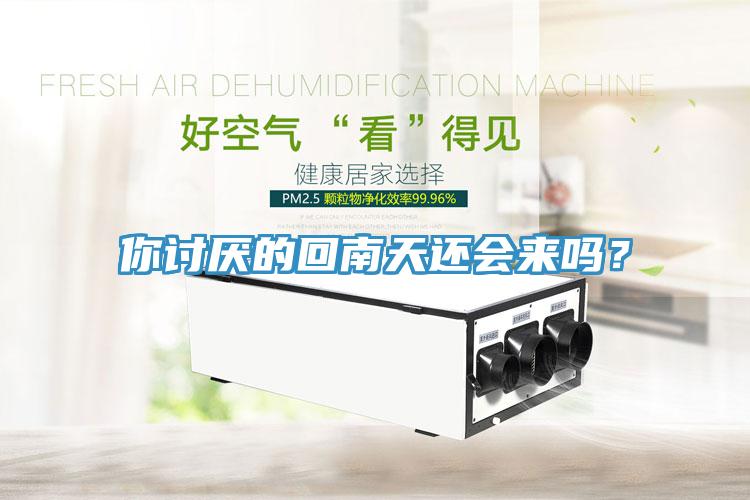 你討厭的回南天還會來嗎?