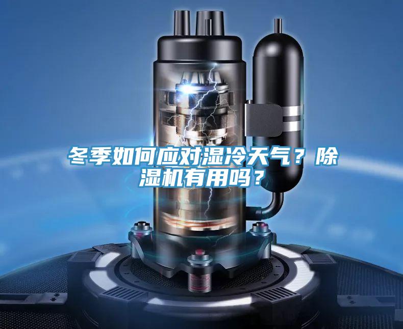 冬季如何應對濕冷天氣？除濕機有用嗎？
