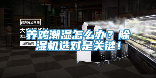 養(yǎng)雞潮濕怎么辦?除濕機(jī)選對是關(guān)鍵!