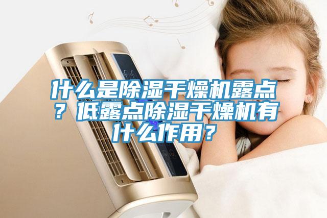 什么是除濕干燥機露點？低露點除濕干燥機有什么作用？