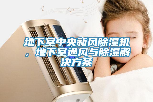 地下室中央新風除濕機，地下室通風與除濕解決方案