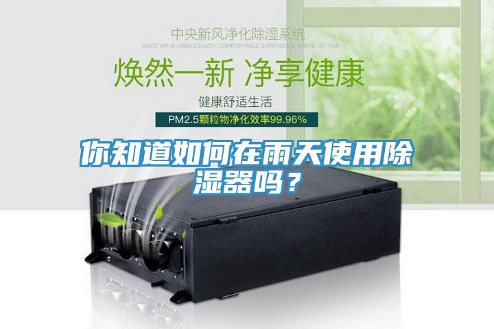 你知道如何在雨天使用除濕器嗎?