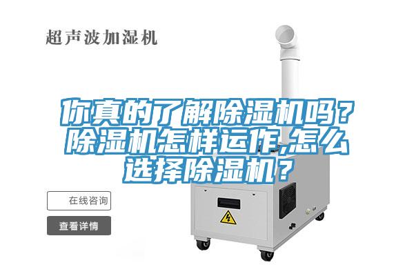 你真的了解除濕機(jī)嗎?除濕機(jī)怎樣運(yùn)作,怎么選擇除濕機(jī)?