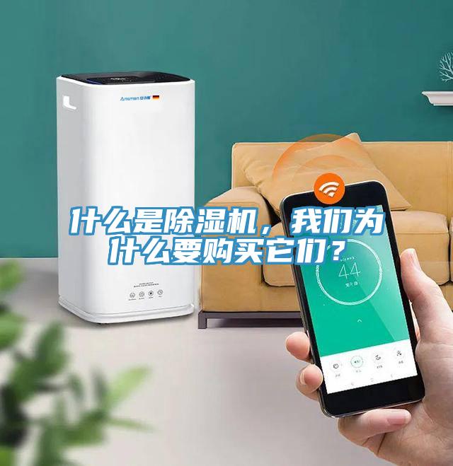什么是除濕機(jī)，我們?yōu)槭裁匆徺I它們？