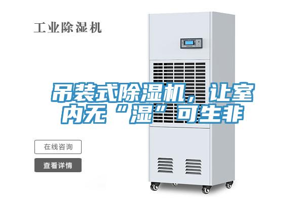 吊裝式除濕機，讓室內無“濕”可生非