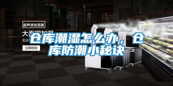 倉庫潮濕怎么辦，倉庫防潮小秘訣