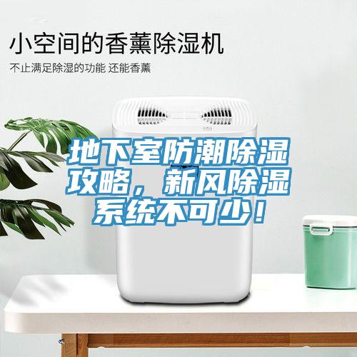 地下室防潮除濕攻略，新風除濕系統不可少！