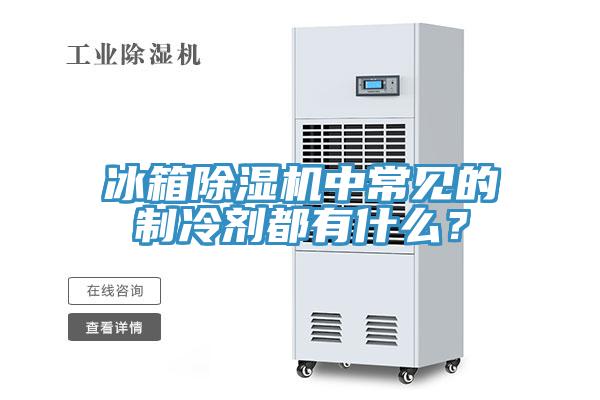冰箱除濕機中常見的制冷劑都有什么？