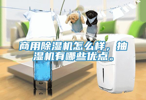 商用除濕機(jī)怎么樣，抽濕機(jī)有哪些優(yōu)點。