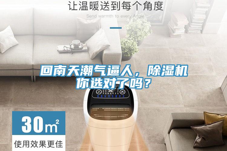 回南天潮氣逼人，除濕機你選對了嗎？