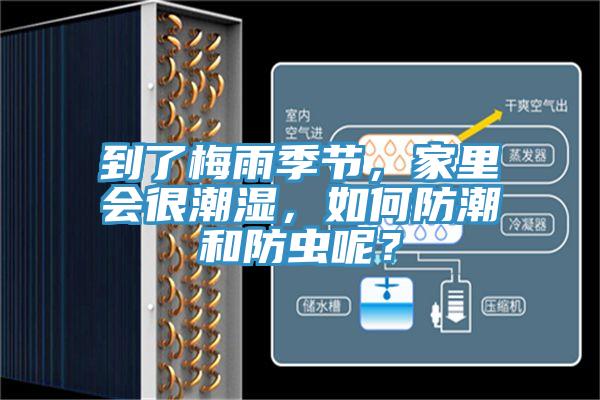 到了梅雨季節，家里會很潮濕，如何防潮和防蟲呢？