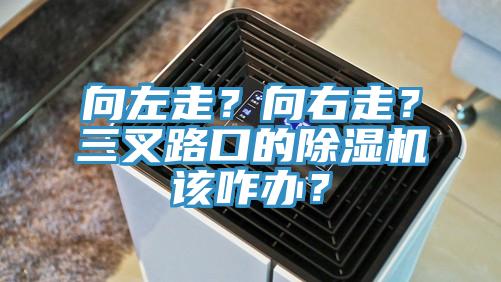 向左走？向右走？三叉路口的除濕機該咋辦？