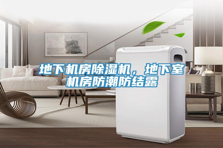 地下機(jī)房除濕機(jī)，地下室機(jī)房防潮防結(jié)露
