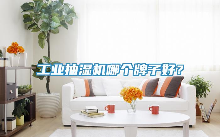 工業抽濕機哪個牌子好？
