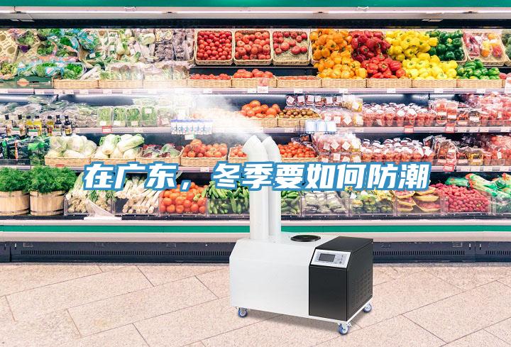 在廣東,冬季要如何防潮