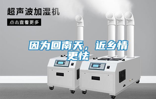 因為回南天，近鄉情更怯