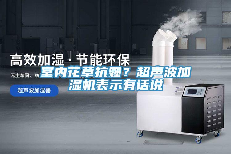室內花草抗霾？超聲波加濕機表示有話說