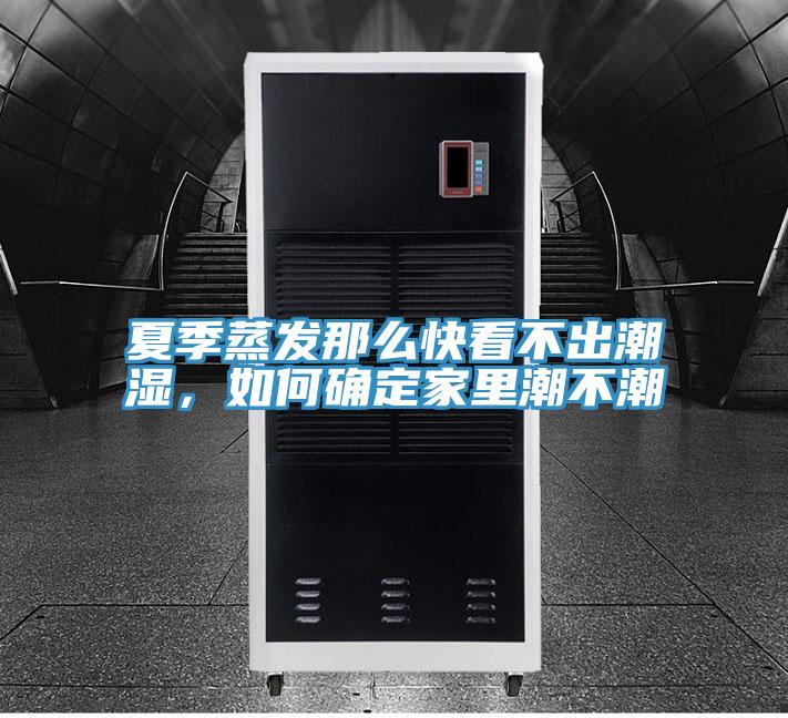 夏季蒸發那么快看不出潮濕，如何確定家里潮不潮