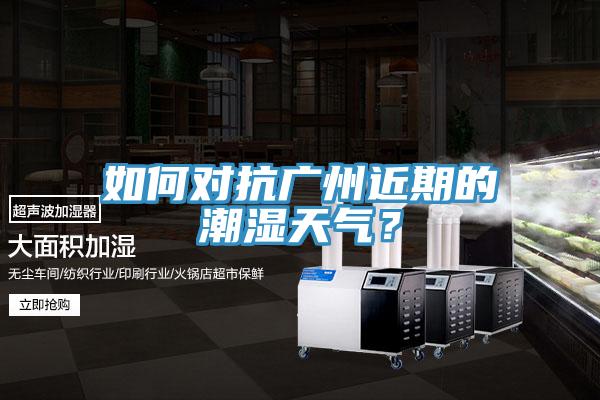 如何對抗廣州近期的潮濕天氣？
