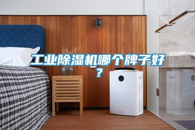 工業(yè)除濕機哪個牌子好？