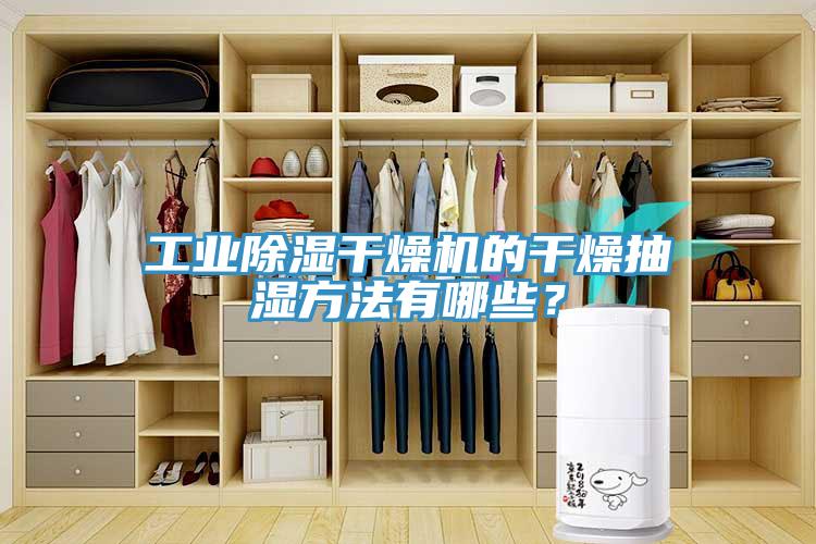 工業(yè)除濕干燥機(jī)的干燥抽濕方法有哪些？