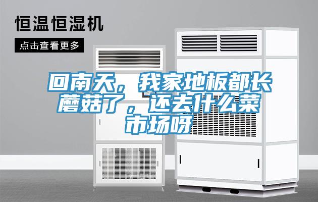 回南天，我家地板都長蘑菇了，還去什么菜市場呀