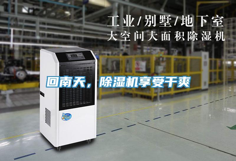 回南天，除濕機享受干爽