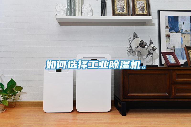 如何選擇工業除濕機。