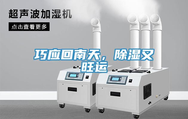 巧應(yīng)回南天,除濕又旺運(yùn)