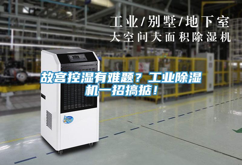 故宮控濕有難題？工業除濕機一招搞掂！