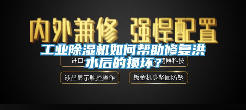 工業(yè)除濕機(jī)如何幫助修復(fù)洪水后的損壞？