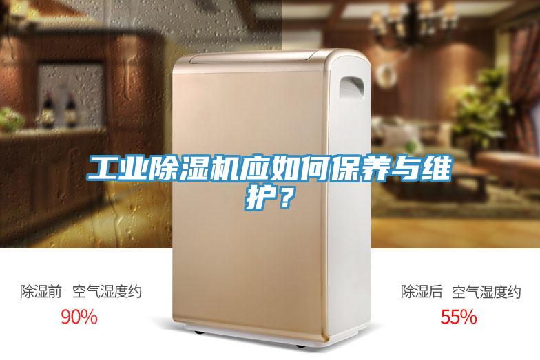 工業除濕機應如何保養與維護？