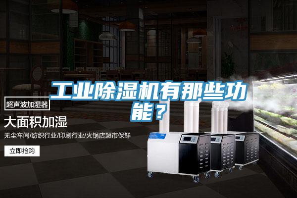 工業(yè)除濕機(jī)有那些功能？