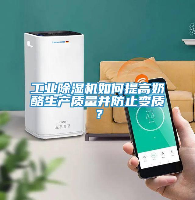 工業(yè)除濕機如何提高奶酪生產(chǎn)質量并防止變質？